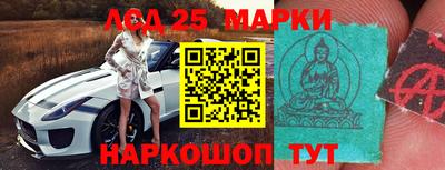 мдпв Новозыбков