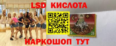 mdpv Новодвинск