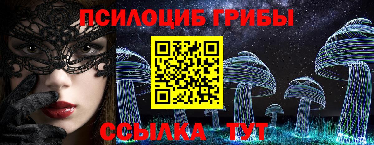 Рязань  Псилоцибиновые грибы Cubensis  Вход с VPN  продажа наркотиков  Псилоцибиновые грибы мухоморы 